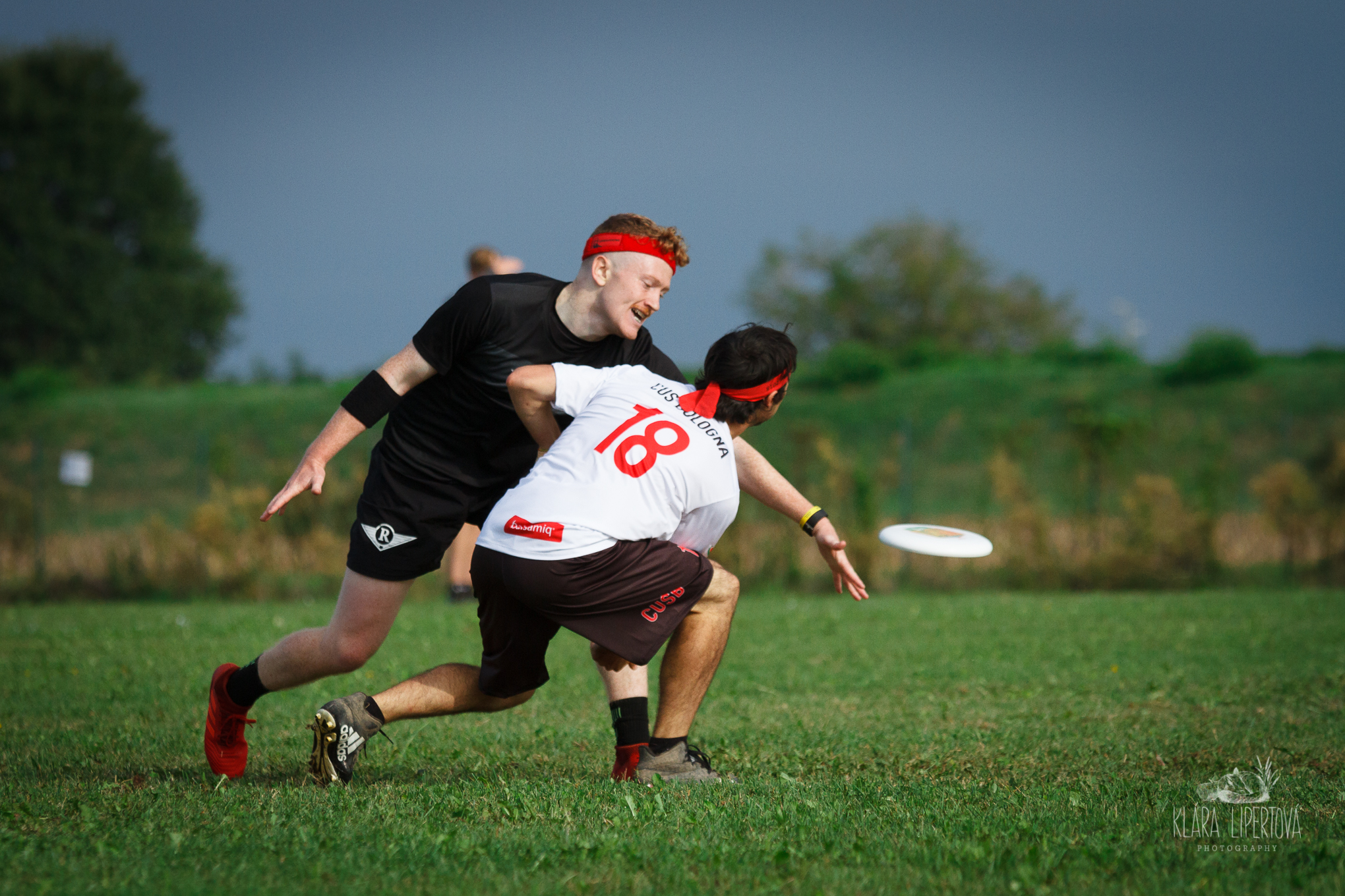 Ultimate frisbee